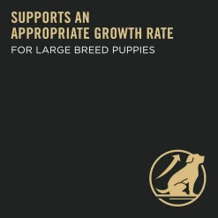 Best Large Breed Dry Puppy Food Chicken & Rice Formula Food Dry, Wet, Freeze Dried, Etc.