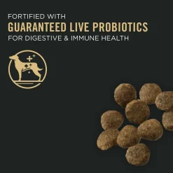Discount Sensitive Skin & Stomach Salmon & Rice Formula Puppy Food Food Dry, Wet, Freeze Dried, Etc.