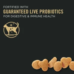 Outlet Sensitive Skin and Stomach Cat Food Lamb and Rice Formula Dry Food Dry Cat Food