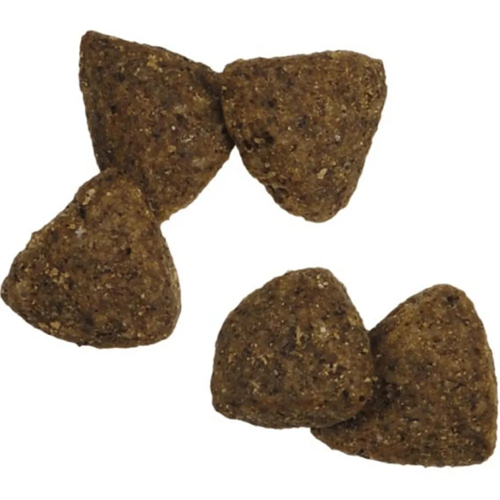 Online Sensitive Skin and Stomach Dog Food With Probiotics Salmon & Rice Formula Food Dry, Wet, Freeze Dried, Etc.