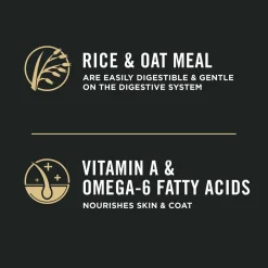 Outlet Sensitive Skin and Stomach Cat Food Lamb and Rice Formula Dry Food Dry Cat Food