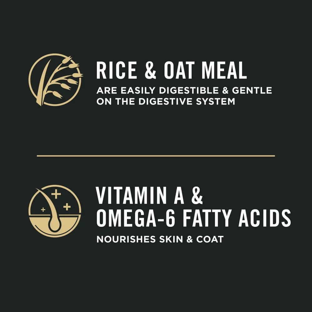 Outlet Sensitive Skin and Stomach Cat Food Lamb and Rice Formula Dry Food Dry Cat Food