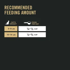 Outlet Sensitive Skin and Stomach Cat Food Lamb and Rice Formula Dry Food Dry Cat Food