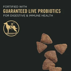 Online Sensitive Skin and Stomach Dog Food With Probiotics Salmon & Rice Formula Food Dry, Wet, Freeze Dried, Etc.