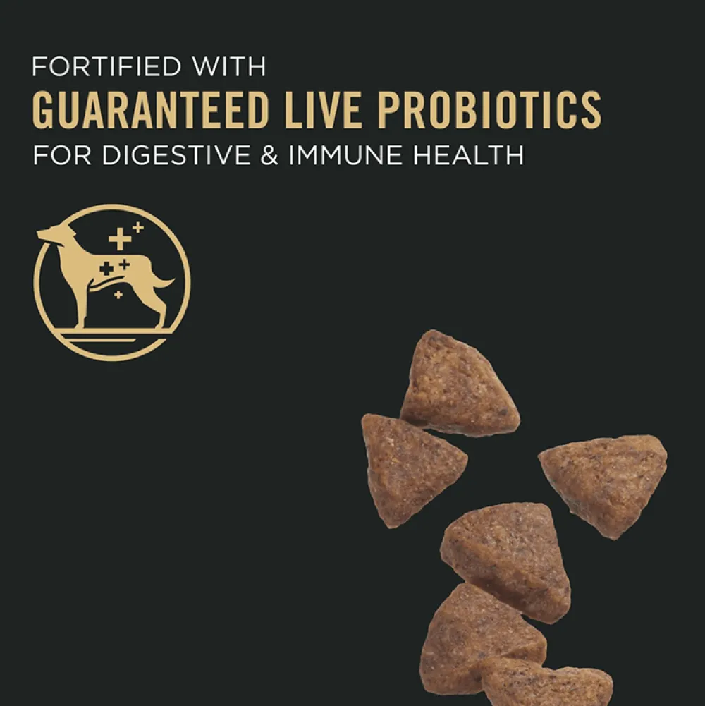 Online Sensitive Skin and Stomach Dog Food With Probiotics Salmon & Rice Formula Food Dry, Wet, Freeze Dried, Etc.