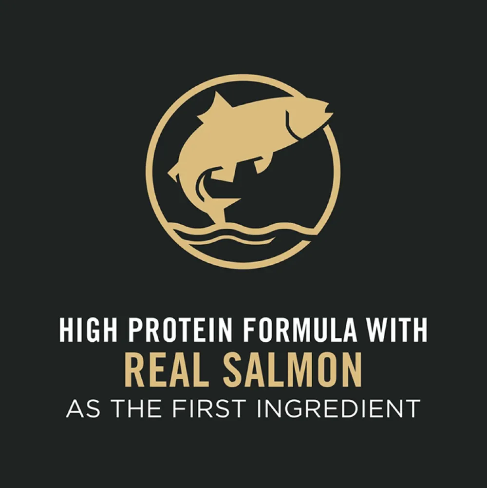 Online Sensitive Skin and Stomach Dog Food With Probiotics Salmon & Rice Formula Food Dry, Wet, Freeze Dried, Etc.