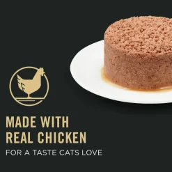 Online Vital Systems 4-in-1 Support Chicken Entrée Pate Wet Cat Food Wet Food Cans, Pouches, Tetra Paks, Etc.