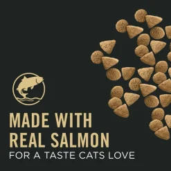 New Vital Systems Salmon & Egg Formula 4-in-1 Dry Cat Food Dry Food Dry Cat Food