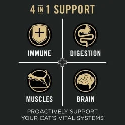 New Vital Systems Salmon & Egg Formula 4-in-1 Dry Cat Food Dry Food Dry Cat Food