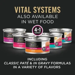 New Vital Systems Salmon & Egg Formula 4-in-1 Dry Cat Food Dry Food Dry Cat Food
