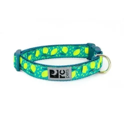 Best RC Adjustable Dog Collar Lemonade Supplies Leashes, Collars, Beds, Flea & Tick, Etc.