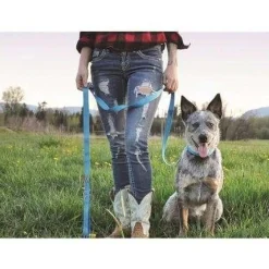 Best RC Adjustable Dog Collar Primary Black Supplies Leashes, Collars, Beds, Flea & Tick, Etc.