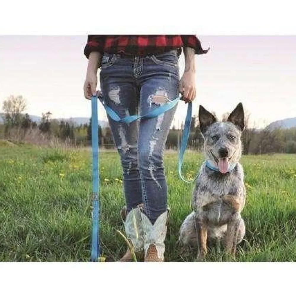 Clearance RC Adjustable Dog Collar Primary Red Supplies Leashes, Collars, Beds, Flea & Tick, Etc.