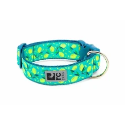 Clearance RC Dog Collar Lemonade Wide Supplies Leashes, Collars, Beds, Flea & Tick, Etc.