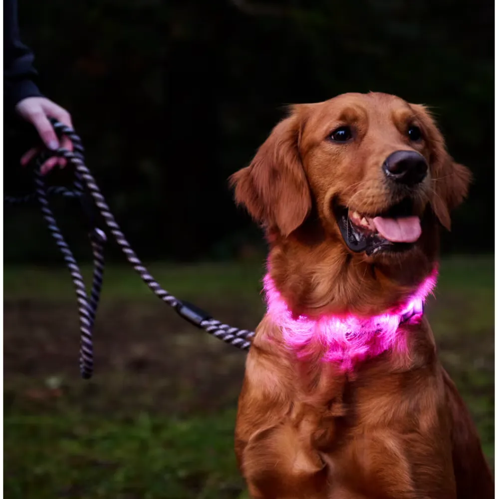 Best Rc Dog Collar Nova Led Light Tennis Supplies Leashes, Collars, Beds, Flea & Tick, Etc.