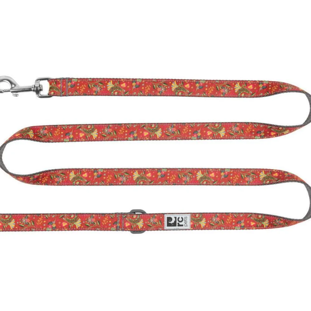 Clearance RC Dog Leash Clay Floral Supplies Leashes, Collars, Beds, Flea & Tick, Etc.