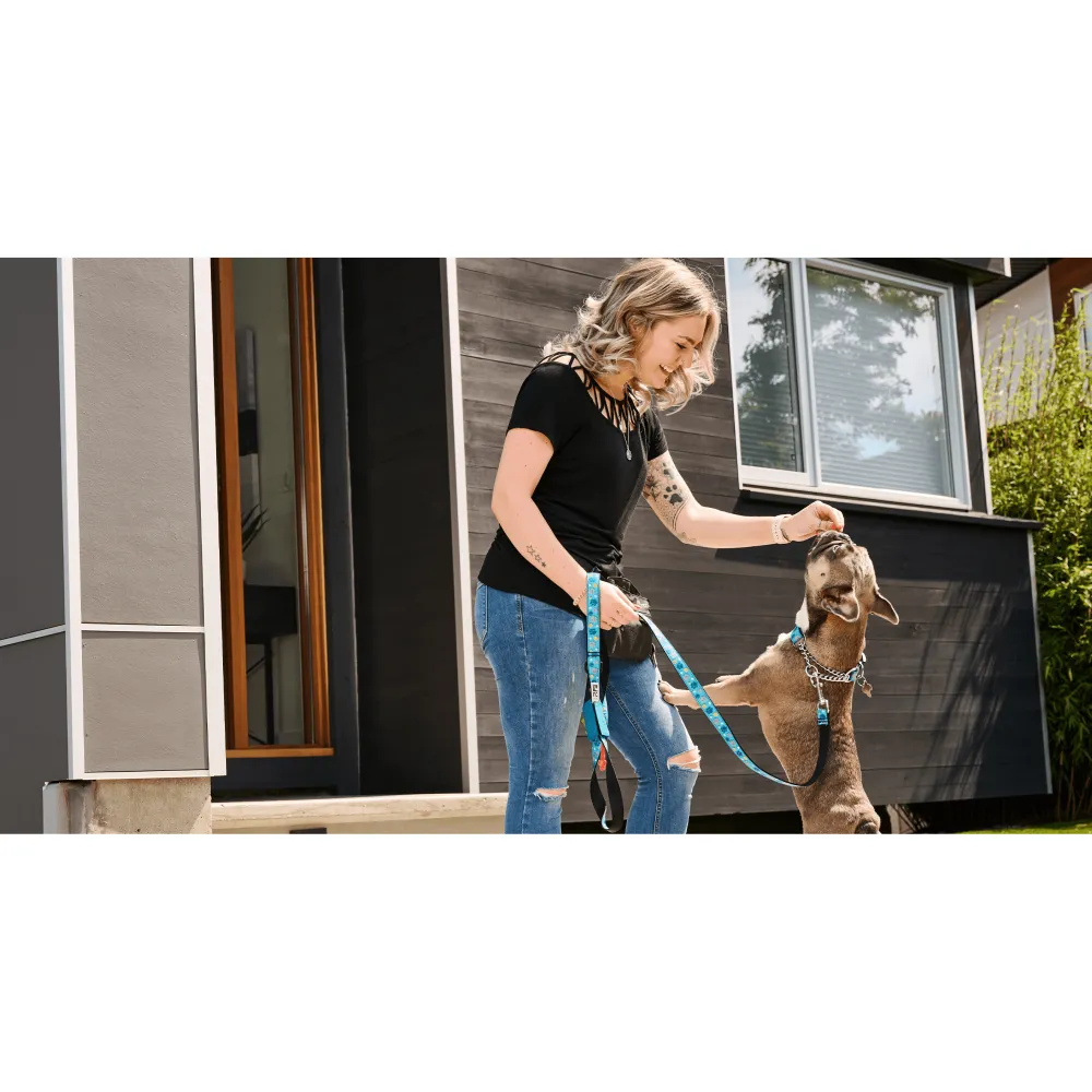 Clearance RC Dog Leash Clay Floral Supplies Leashes, Collars, Beds, Flea & Tick, Etc.