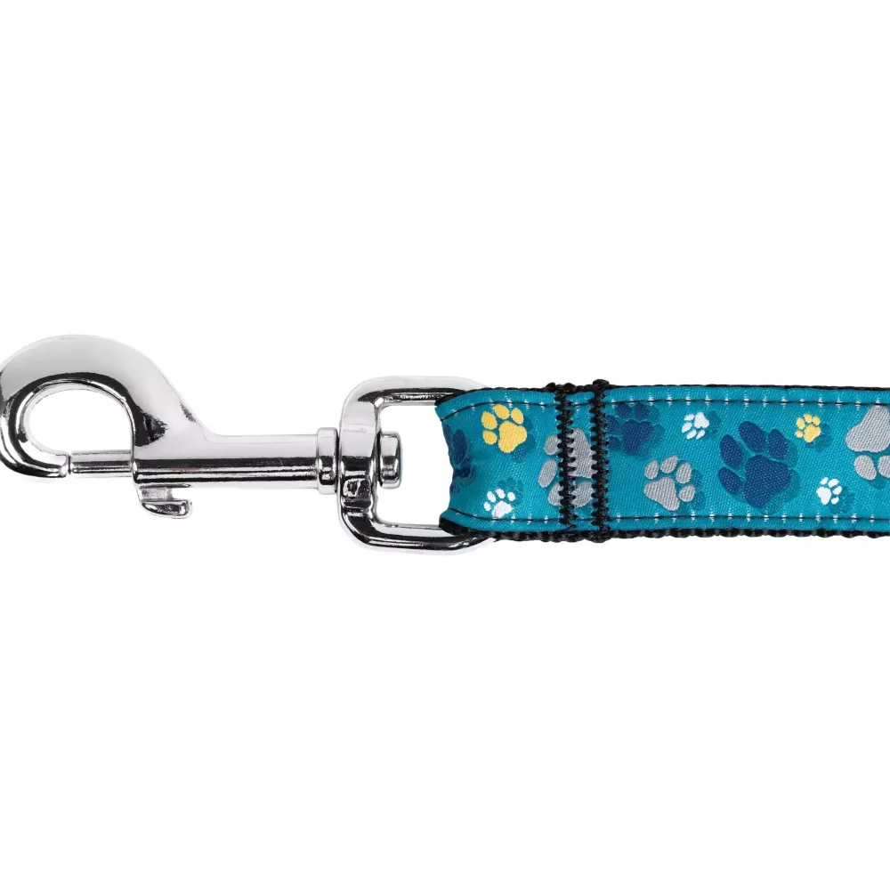 Clearance RC Dog Leash Clay Floral Supplies Leashes, Collars, Beds, Flea & Tick, Etc.