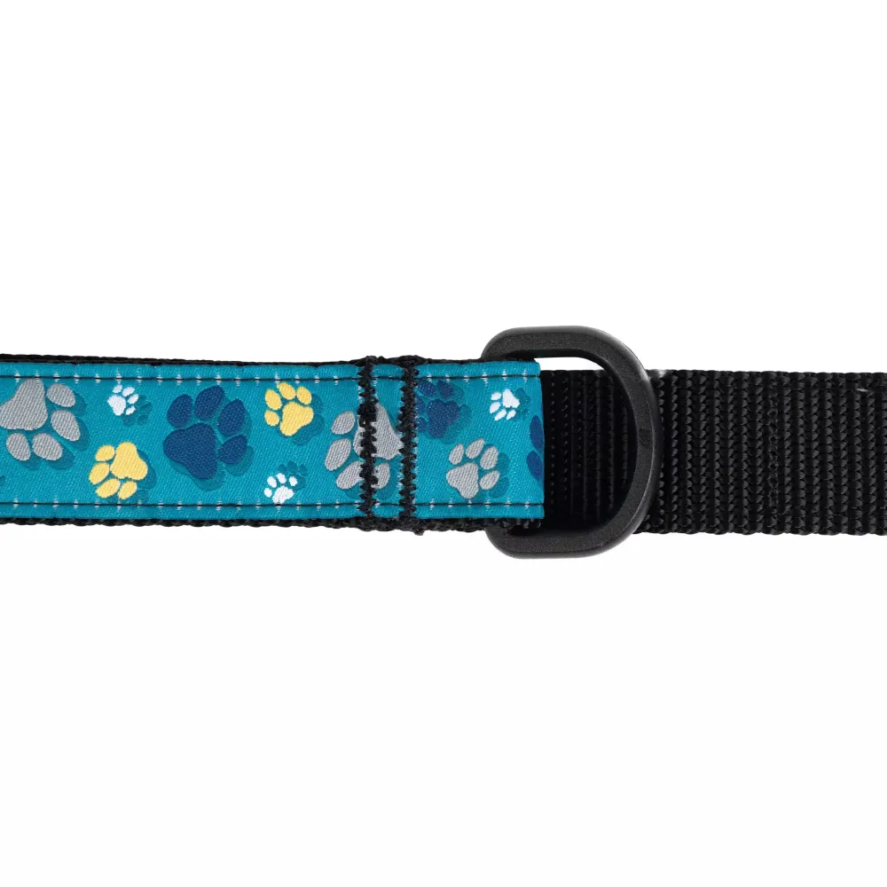 Clearance RC Dog Leash Clay Floral Supplies Leashes, Collars, Beds, Flea & Tick, Etc.