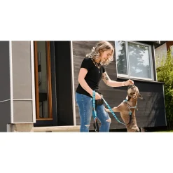 Hot RC Dog Leash Multi Stripes Supplies Leashes, Collars, Beds, Flea & Tick, Etc.