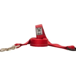 Sale RC Dog Leash With Primary Colour Red Supplies Leashes, Collars, Beds, Flea & Tick, Etc.