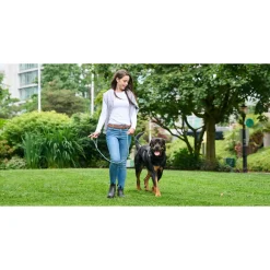 Sale RC Dog Rope Leash Red Supplies Leashes, Collars, Beds, Flea & Tick, Etc.