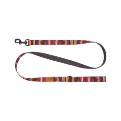 Discount RC Eco Dog Leash Cosmic Aura & Dapple Supplies Leashes, Collars, Beds, Flea & Tick, Etc.