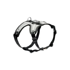 Best Rc Harness Nova Led Light Black/Grey Supplies Leashes, Collars, Beds, Flea & Tick, Etc.