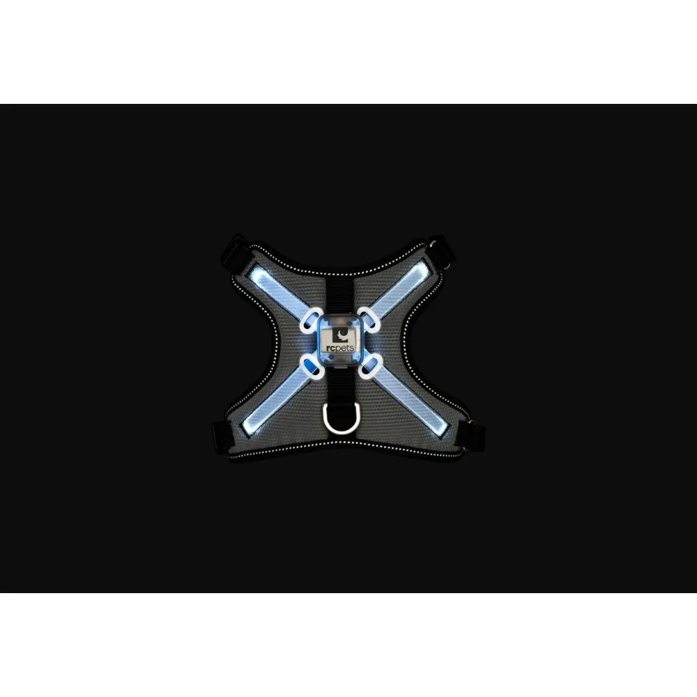 Best Rc Harness Nova Led Light Black/Grey Supplies Leashes, Collars, Beds, Flea & Tick, Etc.