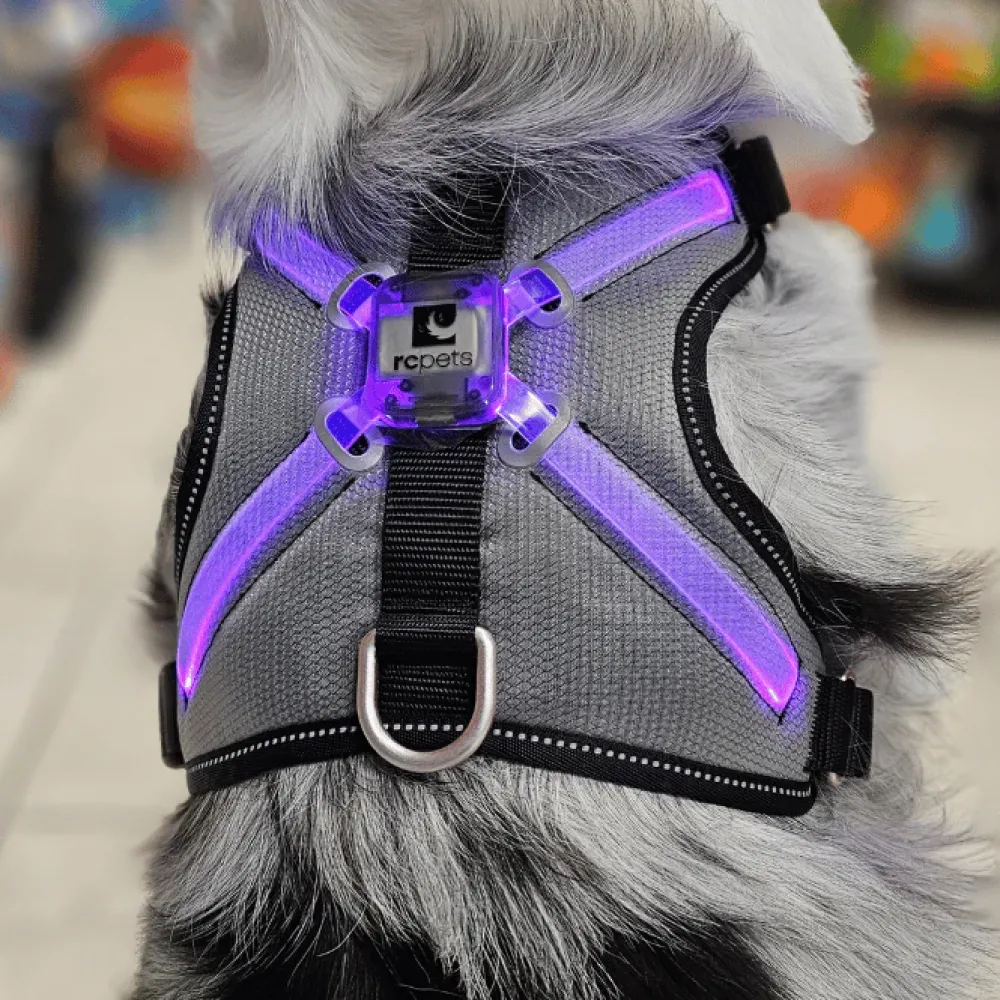 Best Rc Harness Nova Led Light Black/Grey Supplies Leashes, Collars, Beds, Flea & Tick, Etc.