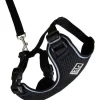 Best RC Kitty Adventure Harness Black Supplies Collars, Scratchers, Toys, Etc.