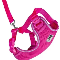 Best RC Kitty Adventure Harness Raspberry Supplies Collars, Scratchers, Toys, Etc.