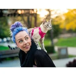 Best RC Kitty Adventure Harness Black Supplies Collars, Scratchers, Toys, Etc.