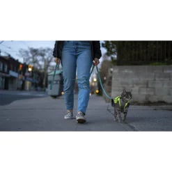 Discount RC Pets Luna High Visibility Reflective Vest Supplies Leashes, Collars, Beds, Flea & Tick, Etc.
