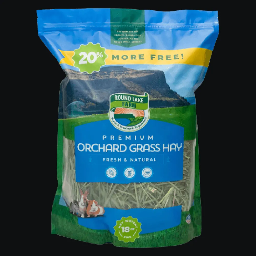 Clearance Small Animal Orchard Grass Hay Shop Small Animal Find All Of The Essentials