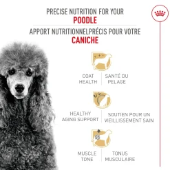 Sale ® Breed Health Nutrition® Poodle Adult Dry Dog Food Food Dry, Wet, Freeze Dried, Etc.
