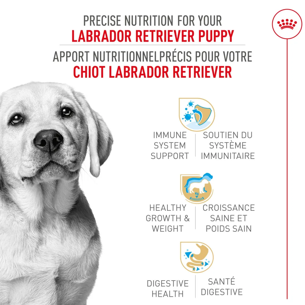 Discount ® Breed Health Nutrition® Labrador Retriever Puppy Dry Puppy Food Food Dry, Wet, Freeze Dried, Etc.