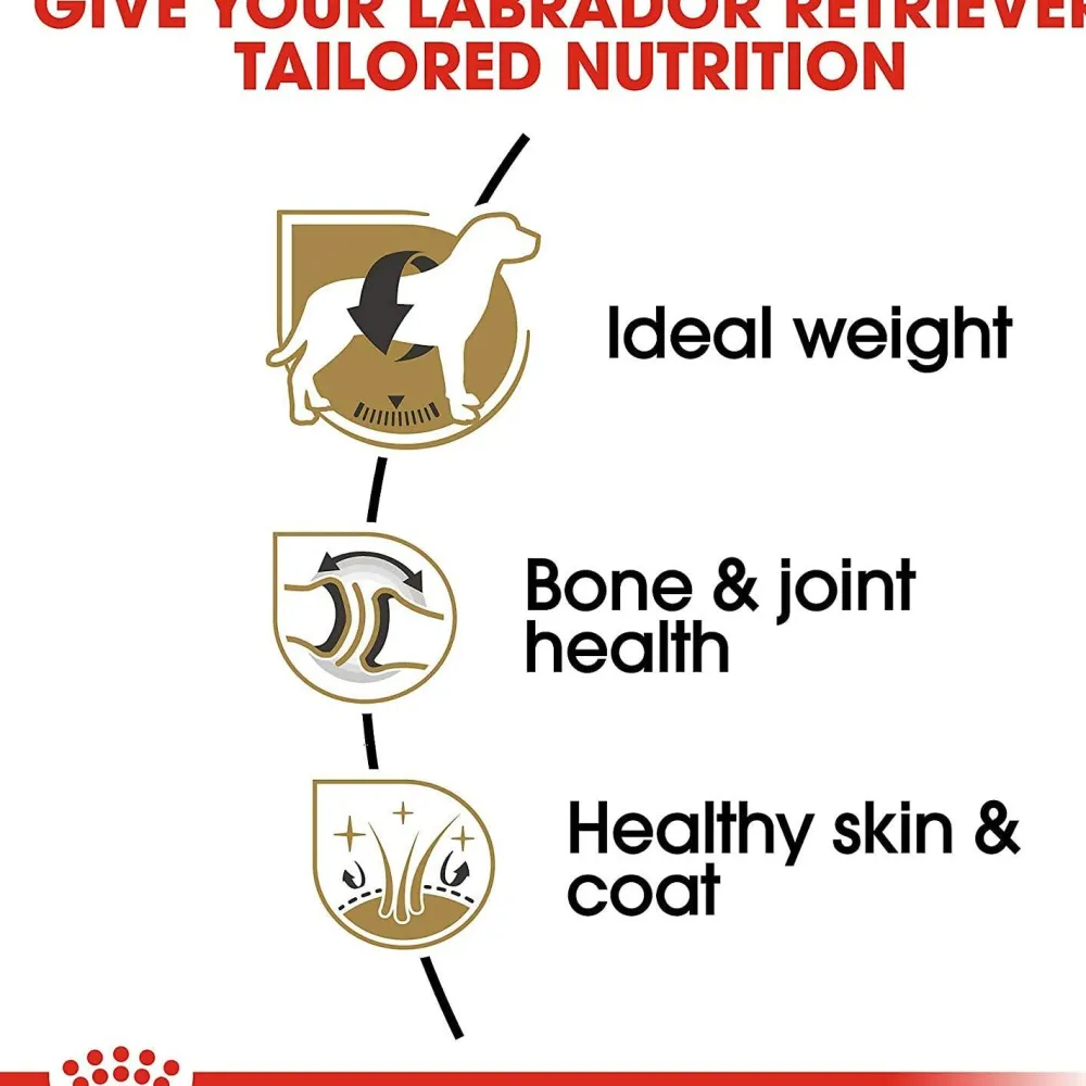 Hot ® Breed Health Nutrition® Labrador Retriever Adult Dry Dog Food Food Dry, Wet, Freeze Dried, Etc.