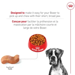 Outlet Breed Health Nutrition Boxer Adult Dry Dog Food Food Dry, Wet, Freeze Dried, Etc.