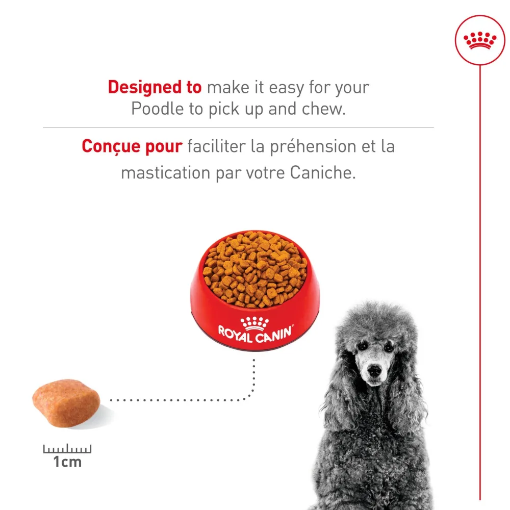 Sale ® Breed Health Nutrition® Poodle Adult Dry Dog Food Food Dry, Wet, Freeze Dried, Etc.