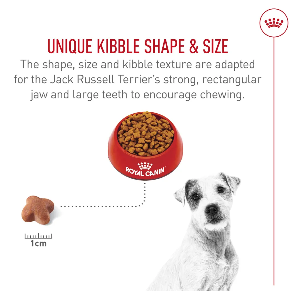 Discount Breed Health Nutrition Jack Russell Terrier Adult Dry Dog Food Food Dry, Wet, Freeze Dried, Etc.