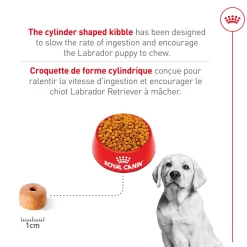 Discount ® Breed Health Nutrition® Labrador Retriever Puppy Dry Puppy Food Food Dry, Wet, Freeze Dried, Etc.