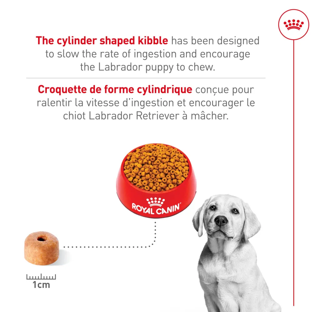 Discount ® Breed Health Nutrition® Labrador Retriever Puppy Dry Puppy Food Food Dry, Wet, Freeze Dried, Etc.