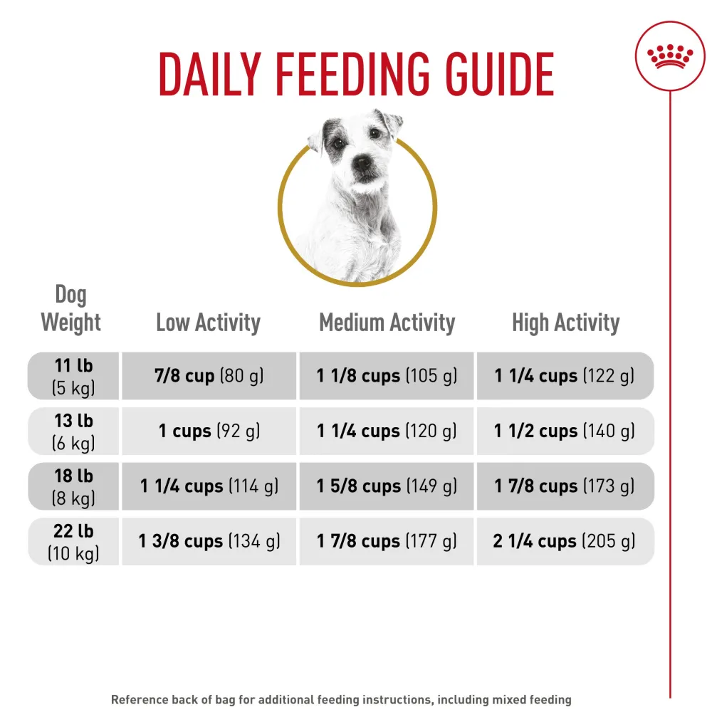 Discount Breed Health Nutrition Jack Russell Terrier Adult Dry Dog Food Food Dry, Wet, Freeze Dried, Etc.