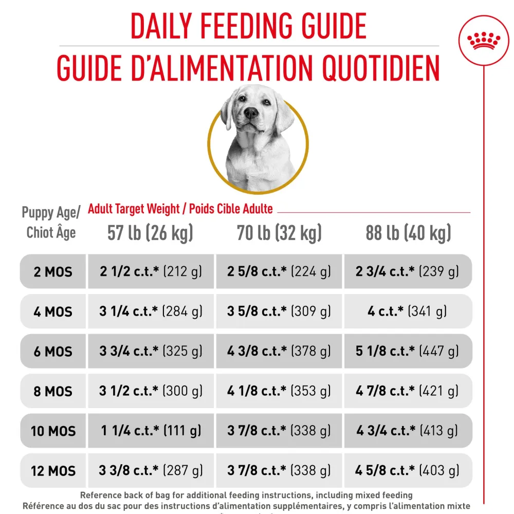 Discount ® Breed Health Nutrition® Labrador Retriever Puppy Dry Puppy Food Food Dry, Wet, Freeze Dried, Etc.
