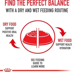 Hot ® Breed Health Nutrition® Labrador Retriever Adult Dry Dog Food Food Dry, Wet, Freeze Dried, Etc.