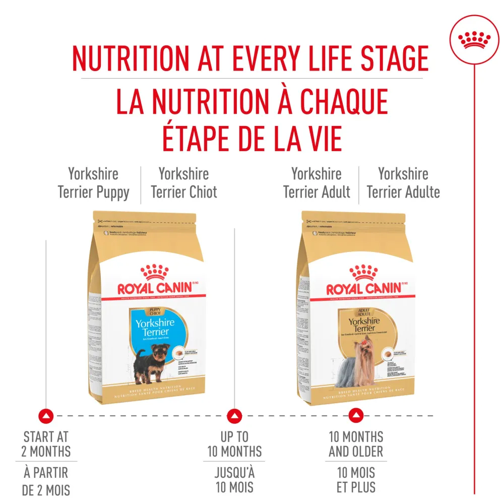 Clearance ® Breed Health Nutrition® Yorkshire Terrier Puppy Dry Puppy Food Food Dry, Wet, Freeze Dried, Etc.