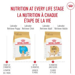 Discount ® Breed Health Nutrition® Labrador Retriever Puppy Dry Puppy Food Food Dry, Wet, Freeze Dried, Etc.