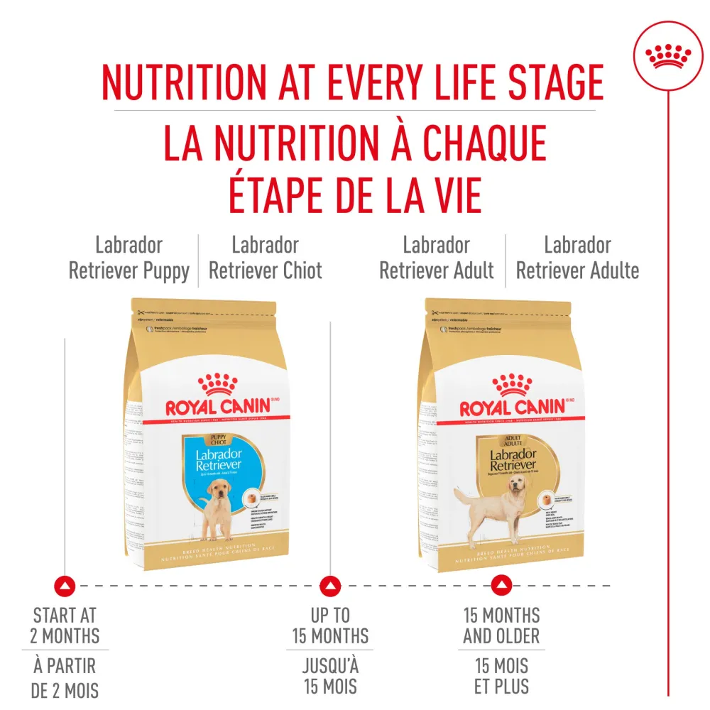 Discount ® Breed Health Nutrition® Labrador Retriever Puppy Dry Puppy Food Food Dry, Wet, Freeze Dried, Etc.
