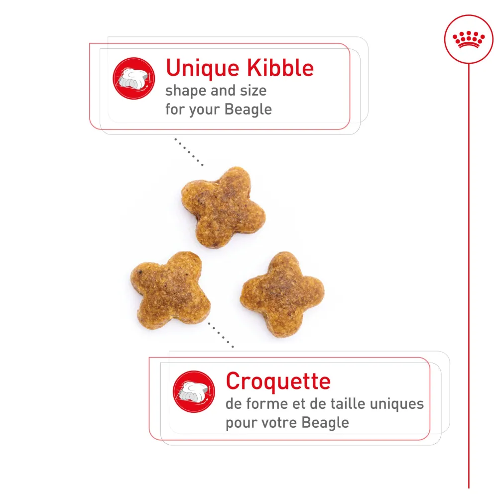Outlet Breed Specific Beagle Adult Dog Food Food Dry, Wet, Freeze Dried, Etc.